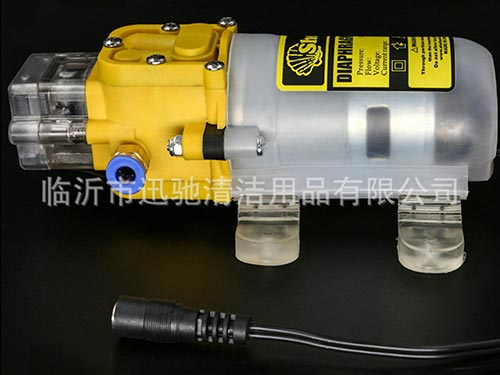 Massage apparatus spray pump